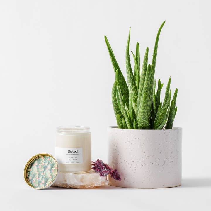 Cactus Flower 8oz Candle for wholesale by Noted Candles