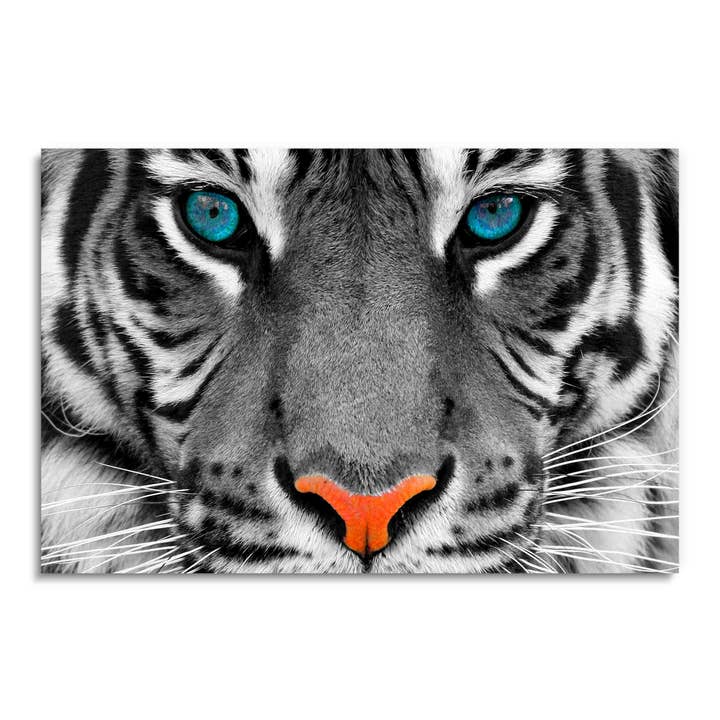 Yeux de tigre, photographie animalière, art mural acrylique pour la vente par ART BLVD