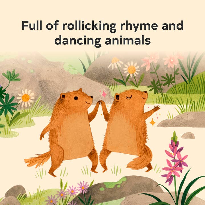 Chronicle Books - Wholesale Preschool Book (3-5) - Sunrise Dance3