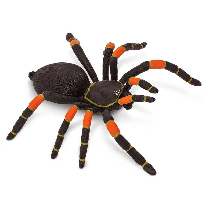 Safari Ltd. - Wholesale Figurine Toy - Kids - Orange - Kneed Tarantula - 542006