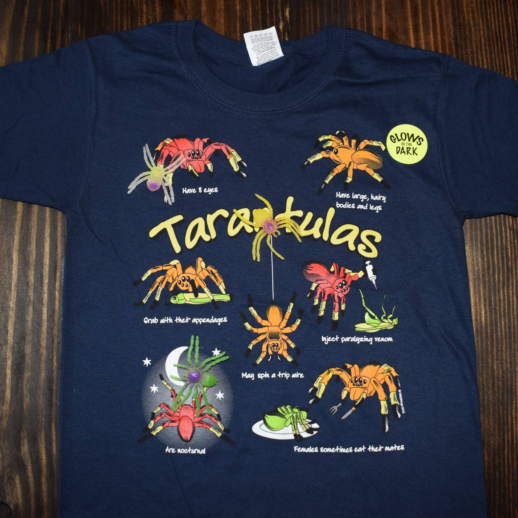 Wildthings - Wholesale Screen Printed T-Shirt - Kids - Tarantulas0