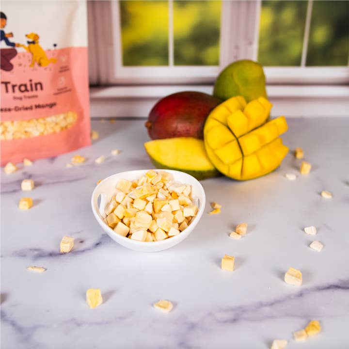 Pupford - Wholesale Pet Treats - Dog - Pupford Freeze Dried Mango Training Treats