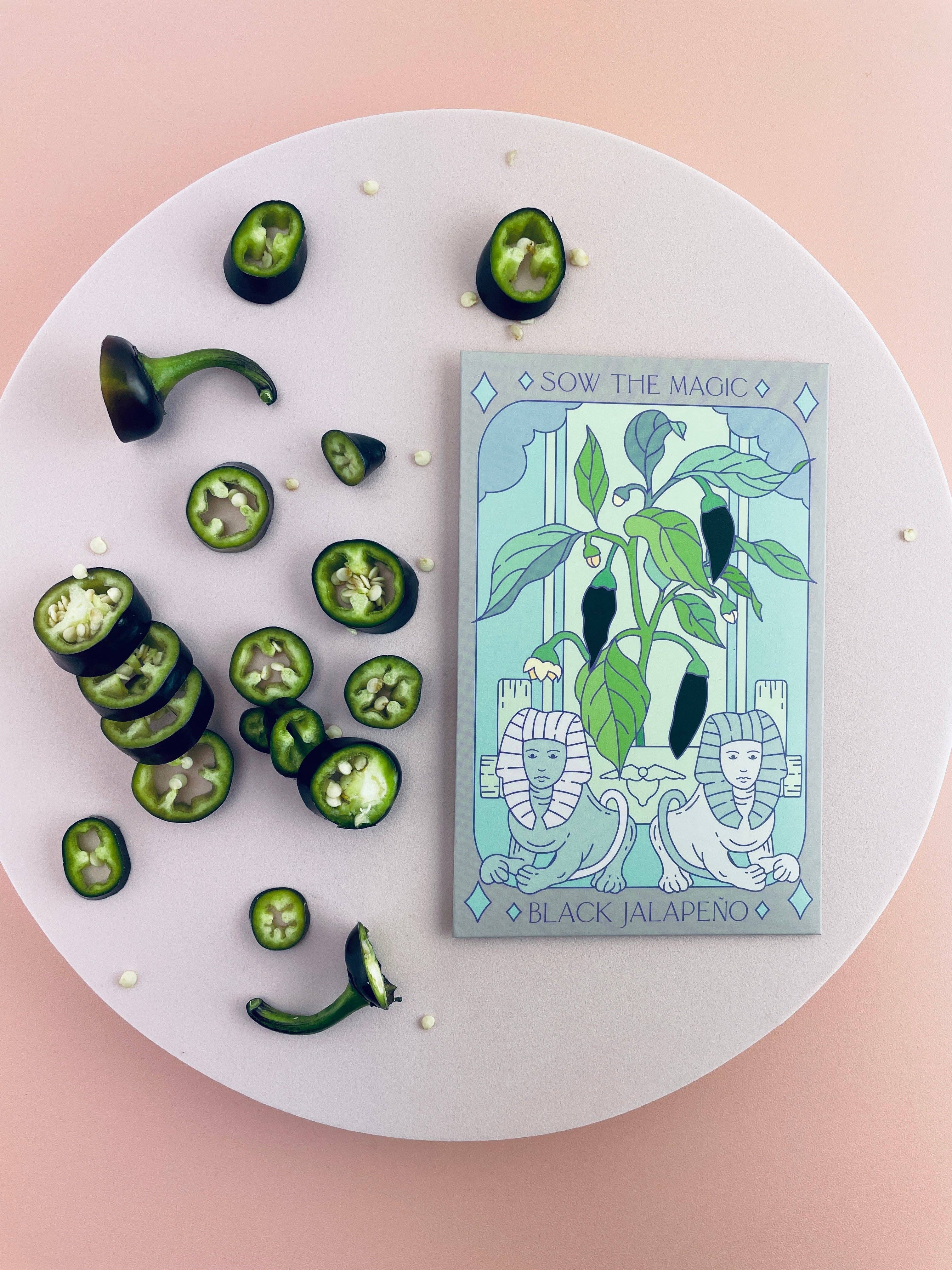 Sow the Magic – wholesale Plant seeds – Black Hungarian Jalapeño Tarot Seed Packet5