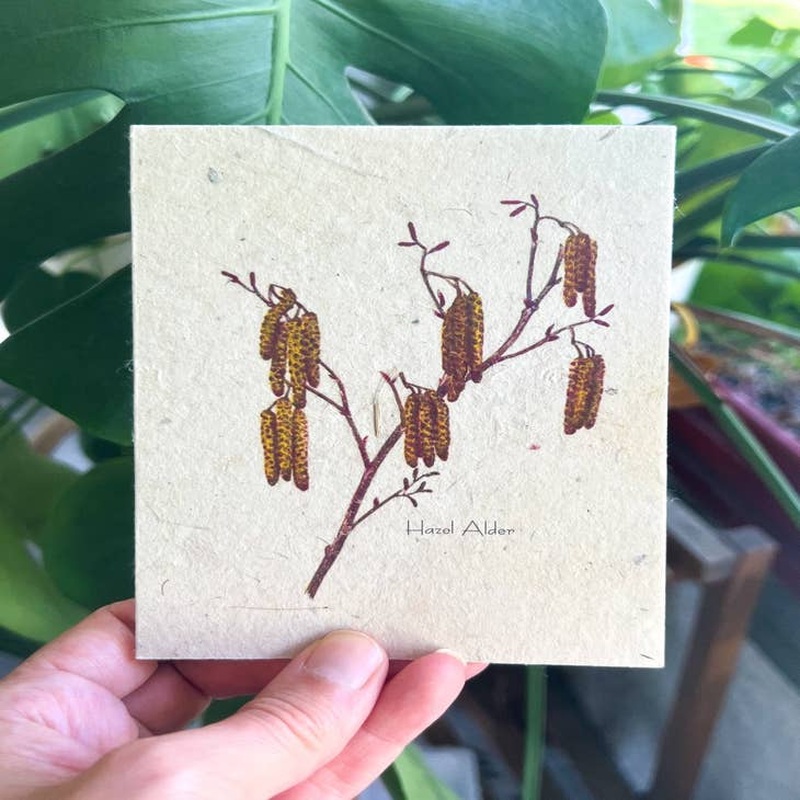 Plantable Seed Cards, Supports Women In Nepal