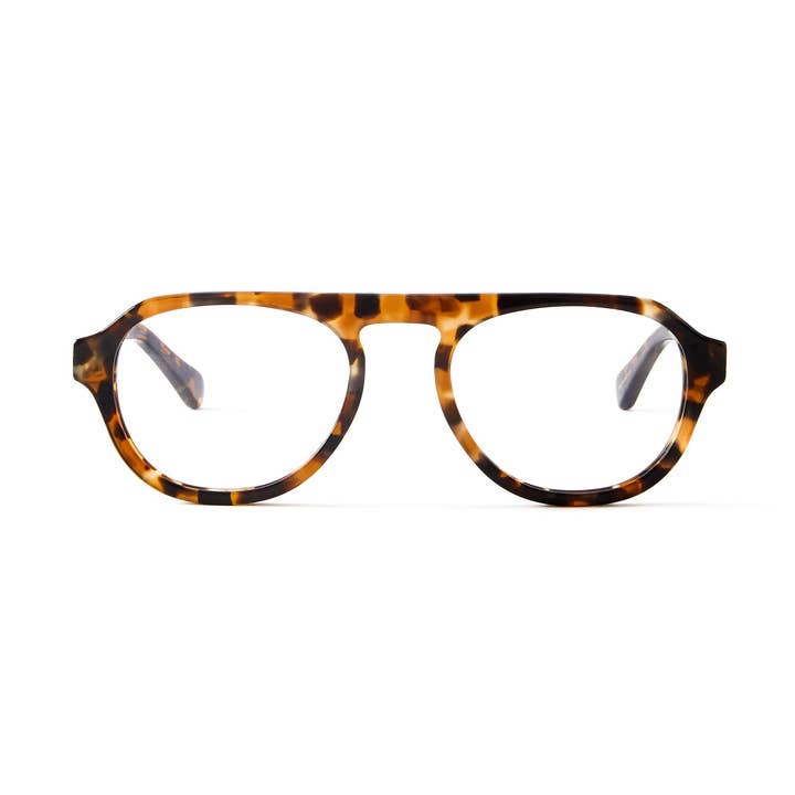 Romain Blue Light Tortoise for wholesale by French Kiwis