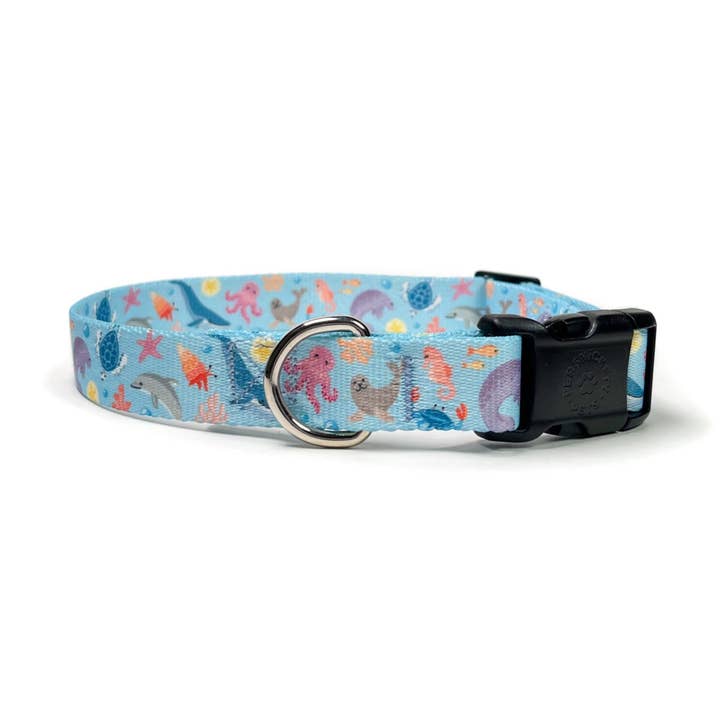 Sea Creatures Dog Collar for wholesale by Persnickety Pets
