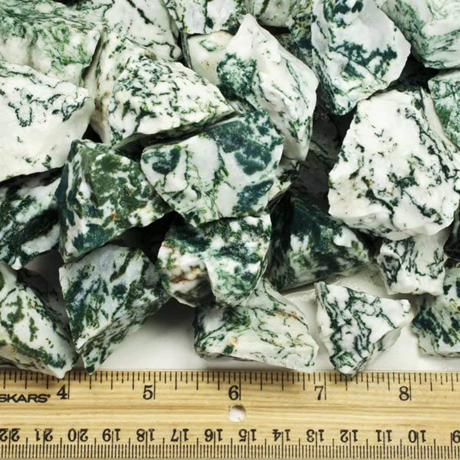 Fantasia Mining – wholesale Andlig sten/kristall – Rå Tree Agate från Indien – Naturliga stenar, 1 lb (454 g)2