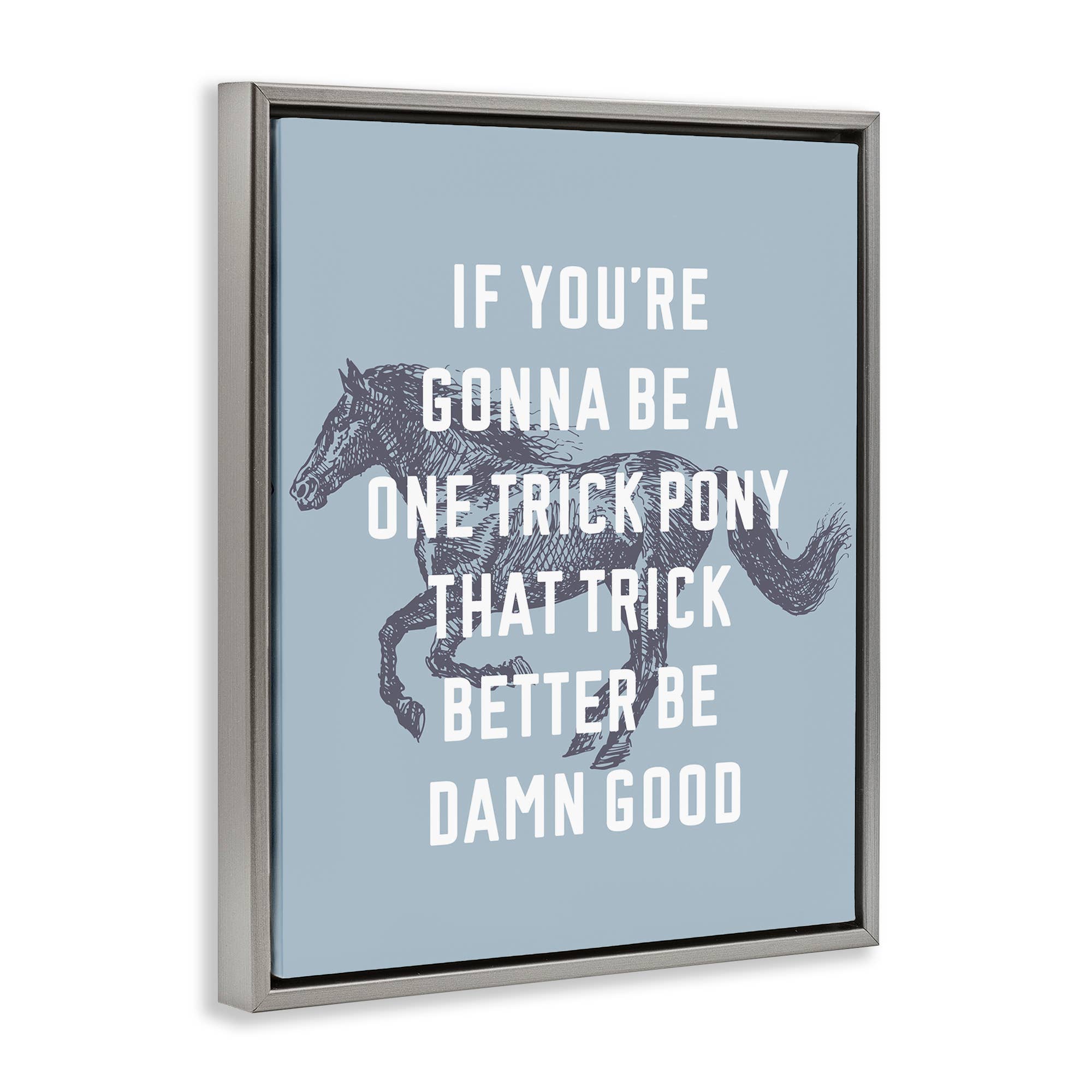 Stupell Industries - Wholesale Wall Decor - Kids & Baby - One Trick Pony Phrase Floater Framed Art21