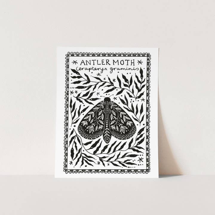 Antler Moth Frame - A4 Print for wholesale by Juniper Press