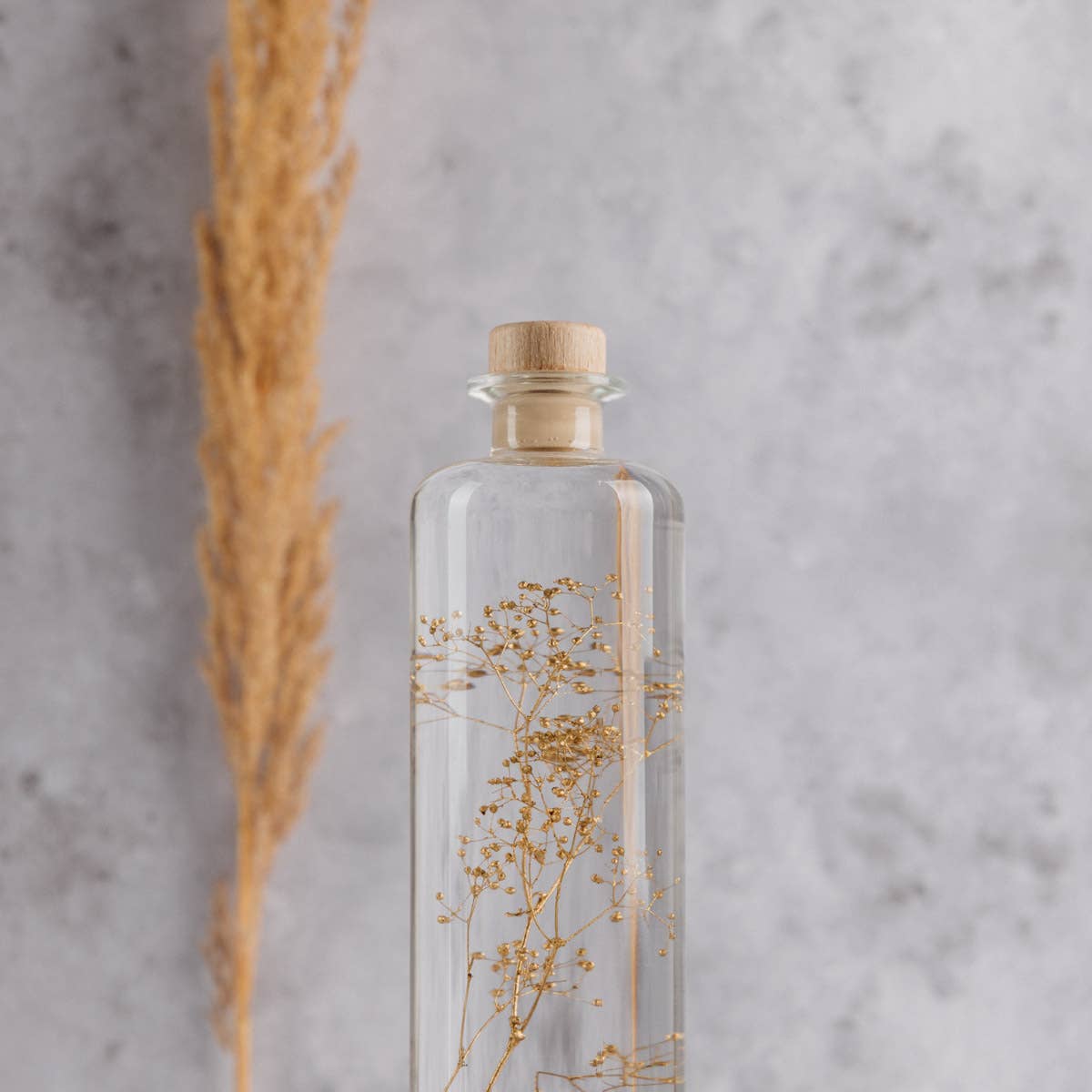 Theophile Berthon - Vente Plante - L'Herbarium Gypsophile Or - plante immergée8