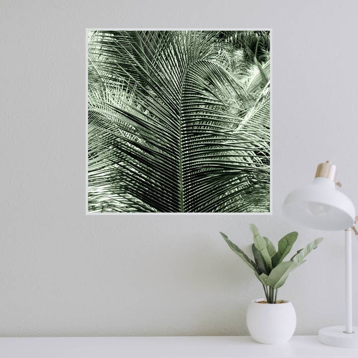 Veni Etiam Photography - Wholesale Art Print - Palm Tree Boho Wall Art4
