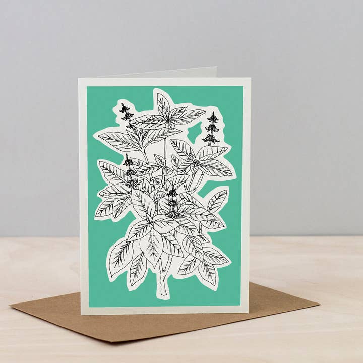 Studio Wald - Wholesale Everyday Greeting Card - All Occasions Greetings Cards - Herbs Line