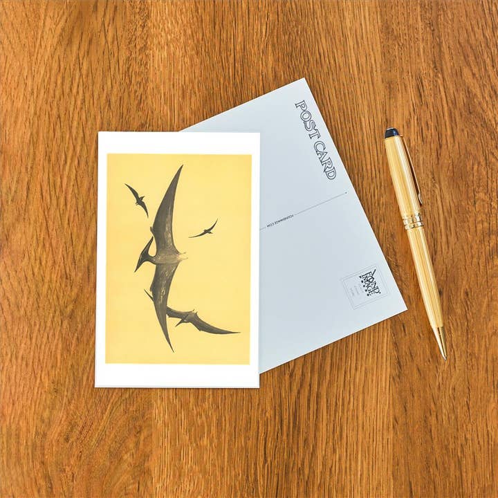 Found Image Press - Wholesale Postcard - Postcard AN-256 Pterodons1