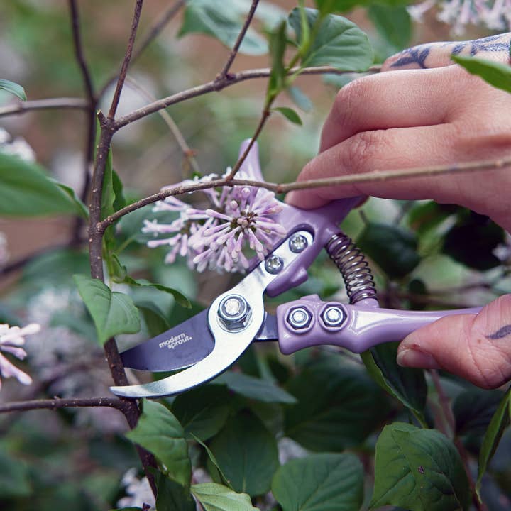 Modern Sprout - Wholesale Garden Tool - New Colors! Garden Pruners