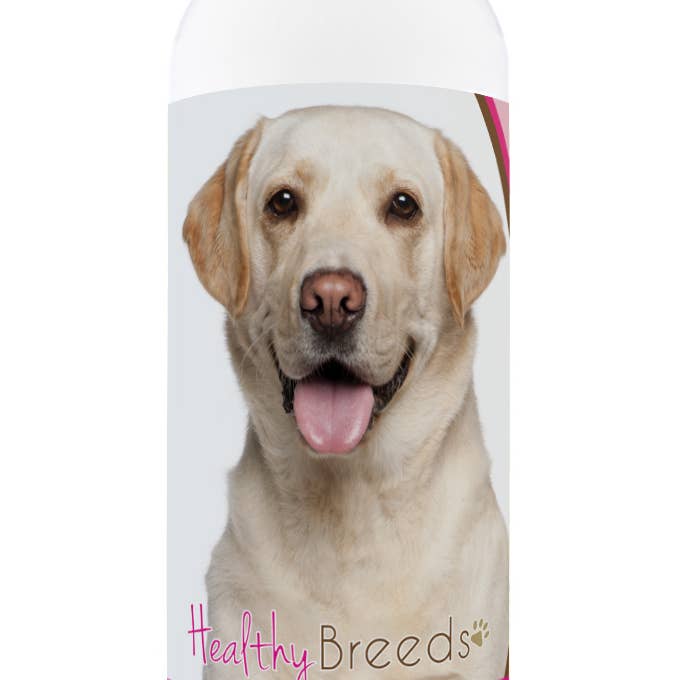 Labrador sales puppy shampoo