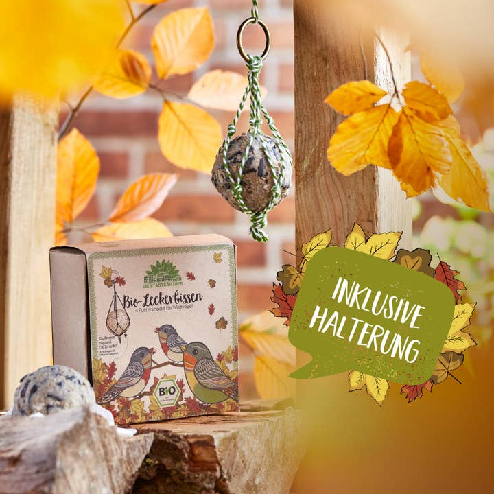 TDJ Stadtgärtner GmbH - Wholesale Bird Feeder - Delicacy - Organic Gourmet 4-pack2