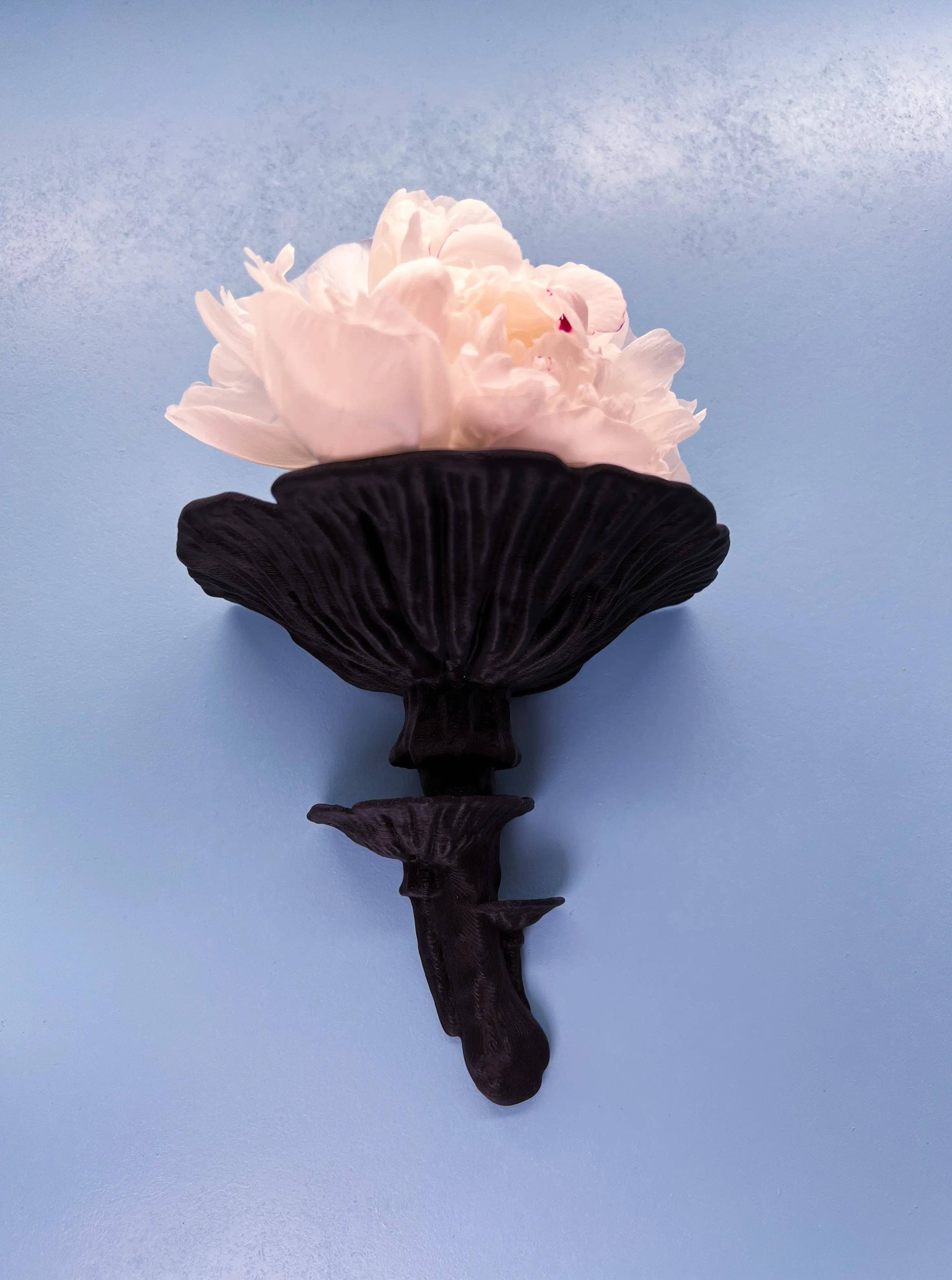 Roomberry - Wholesale Wall Mounted Shelf - Amanita Mushroom Wall Shelf – Floating Shelf for Stylish Decor5