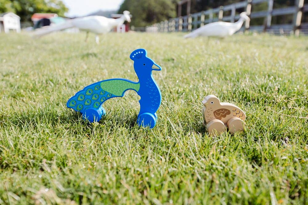 Jack Rabbit Creations - Wholesale Wood Toy - Kids - Peacock Big & Little Wooden Roller1