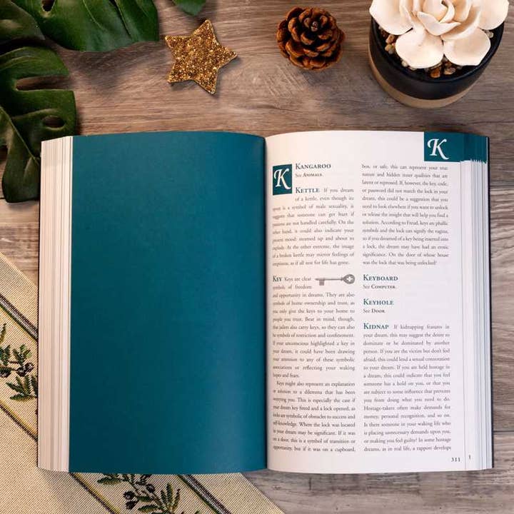 Simon & Schuster - Wholesale Reference - Dream Dictionary by Theresa Cheung4