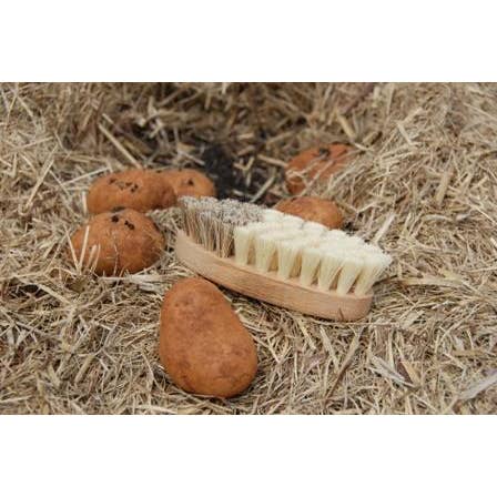 Natural REDECKER Vegetable Brush 5" for wholesale on Faire