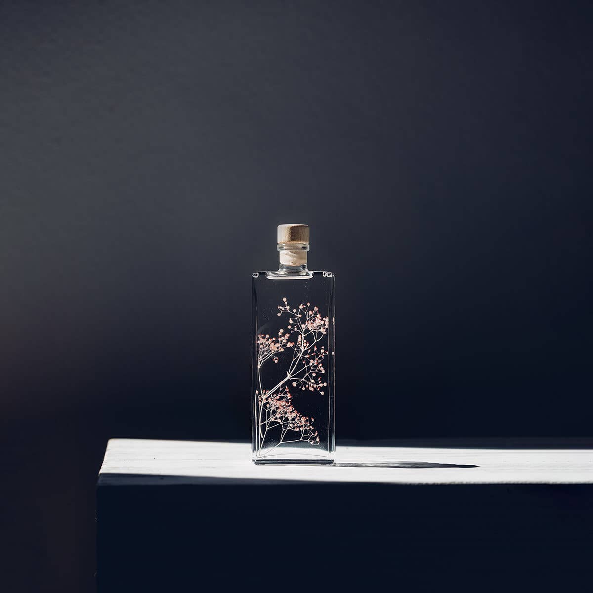 Theophile Berthon - Vente Plante - L'Herbarium Gypsophile rose - plante immergée3