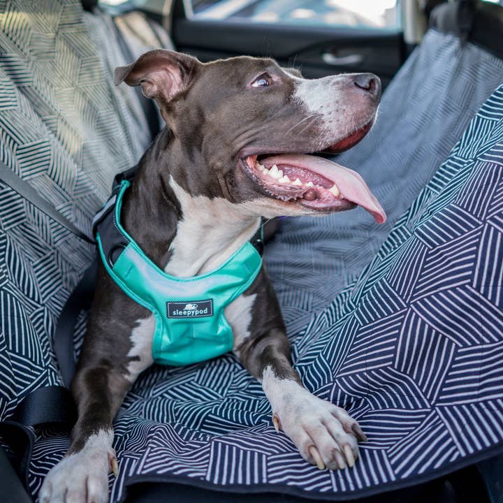 Sleepypod – wholesale Sele - Hund – Clickit Terrain Plus bilsele2