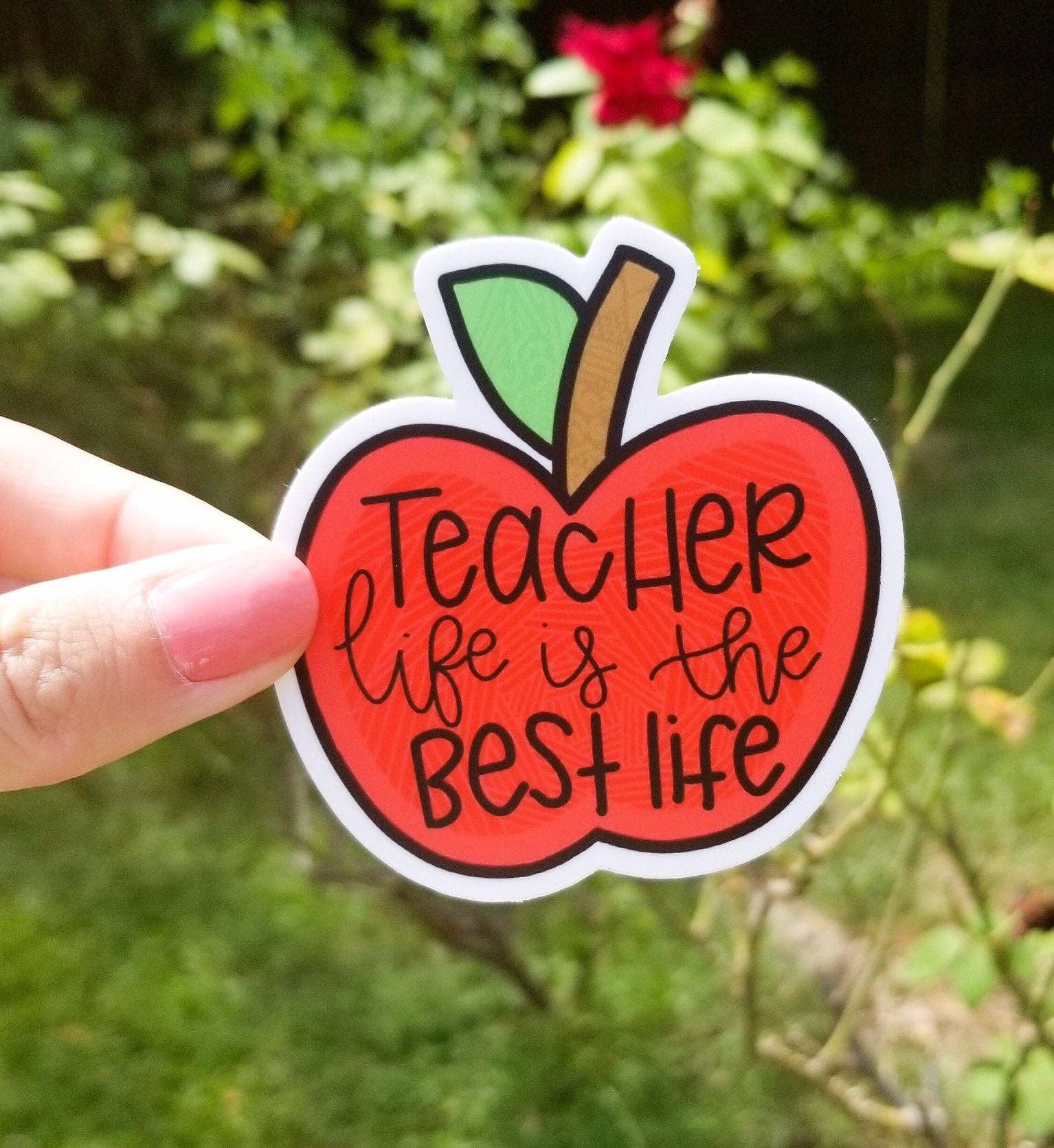 The Good Teacher Co - Wholesale Sticker - Teacher Life is the Best Life Sticker