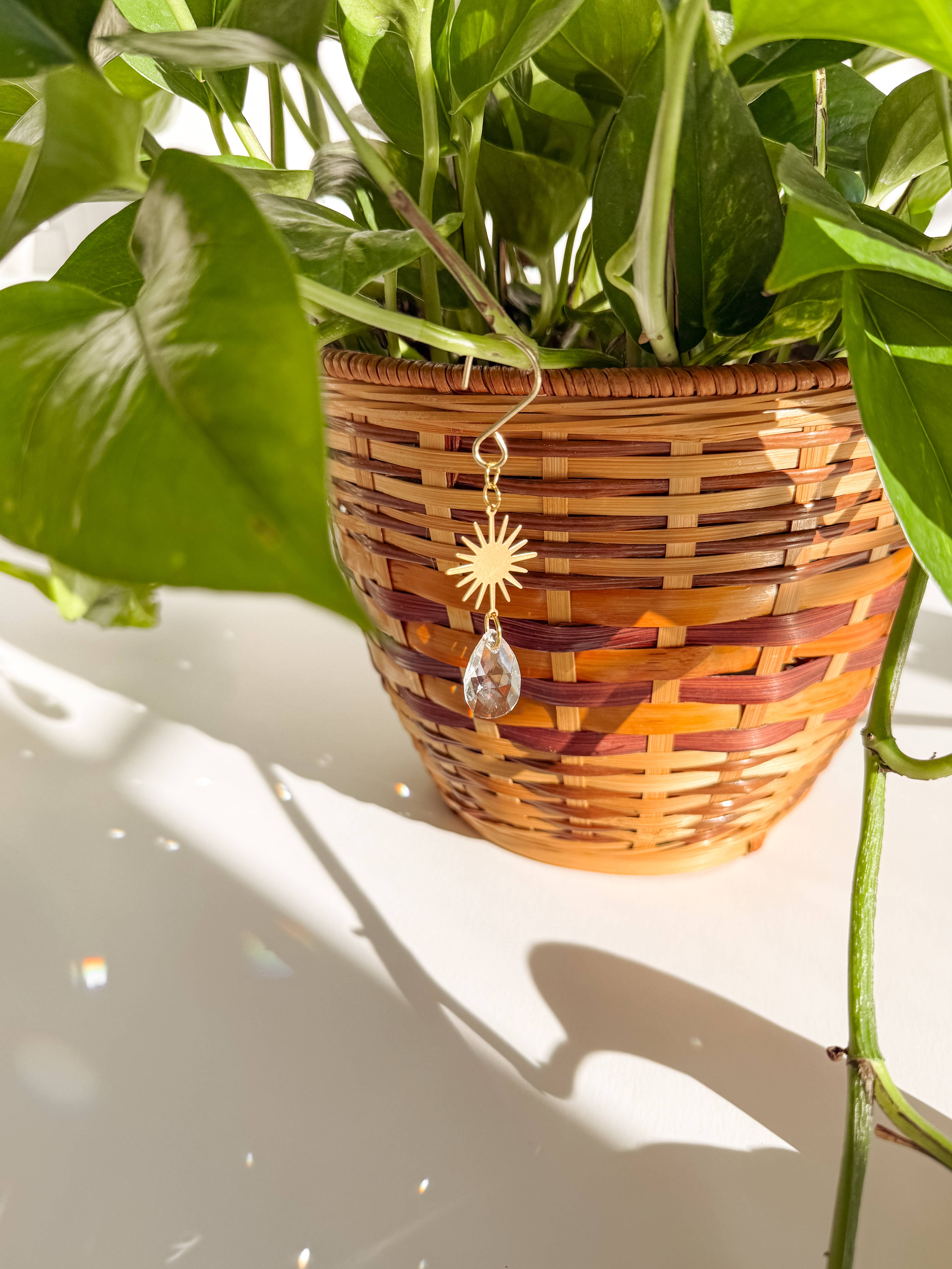 Meraki The Studio Co. - Wholesale Suncatcher - Plant Charm | Suncatcher + Sun | Houseplant Accessories4