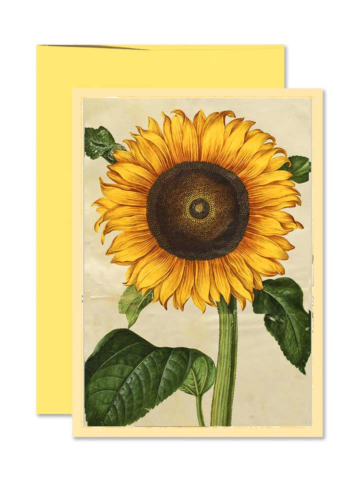 Bright Sunflower Folded Greeting Card for wholesale by Ben's Garden