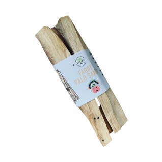 Palo Santo wird verbrannt für den Großhandel von Michel Pierre, Herboristerie du Palais Royal