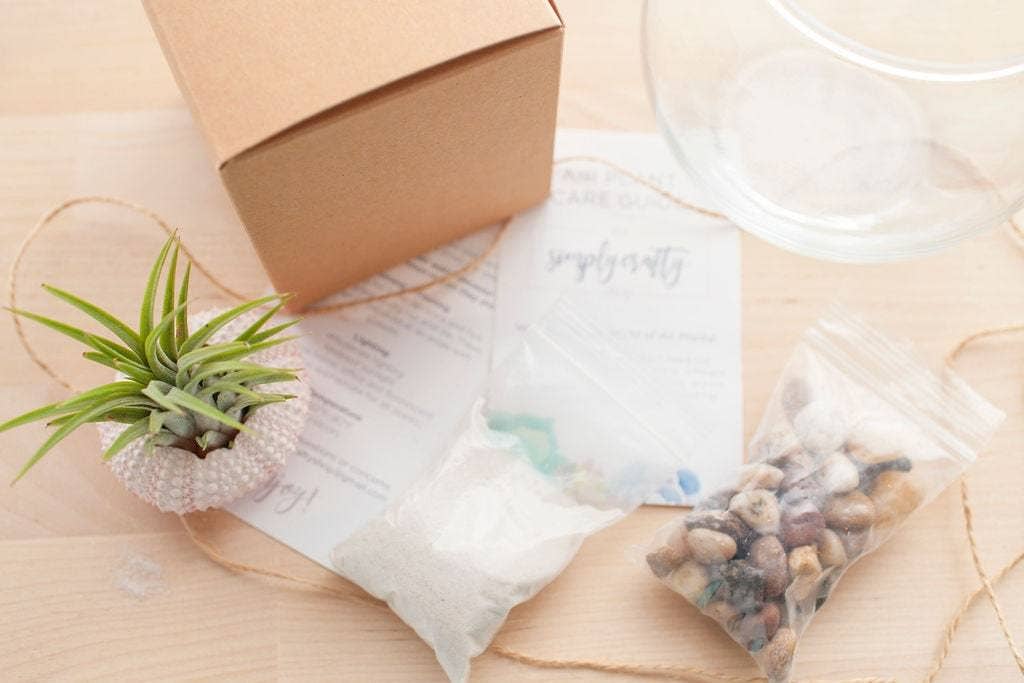 The Simply Crafty Shop - Wholesale Terrarium - Coastal Air Plant Terrarium Kit3