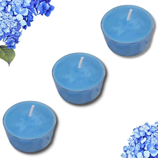 WILD BLUE flowers Soy Collection for wholesale by D SCENT