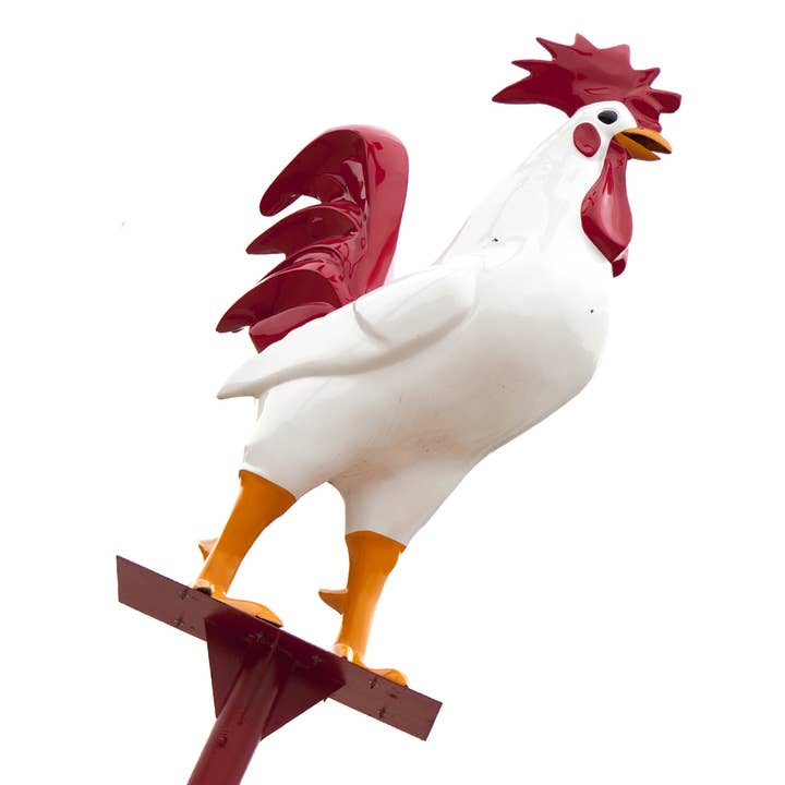 Lees Chicken Onderzetter voor wholesale door South Austin Gallery