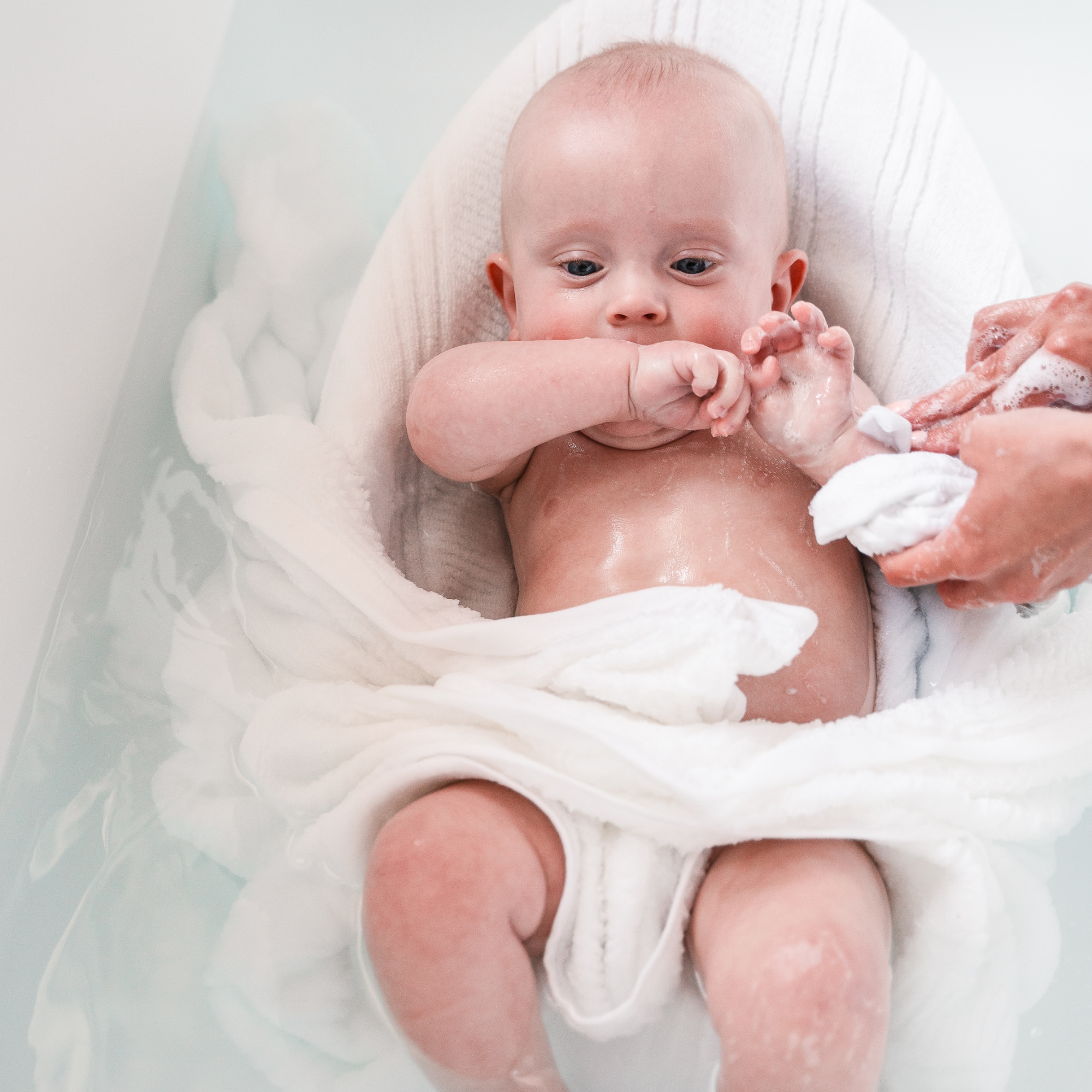 Pip + Phee - Wholesale 2-in-1 shampoo & body wash – Baby - Shampoo & Body Wash | Citrus8