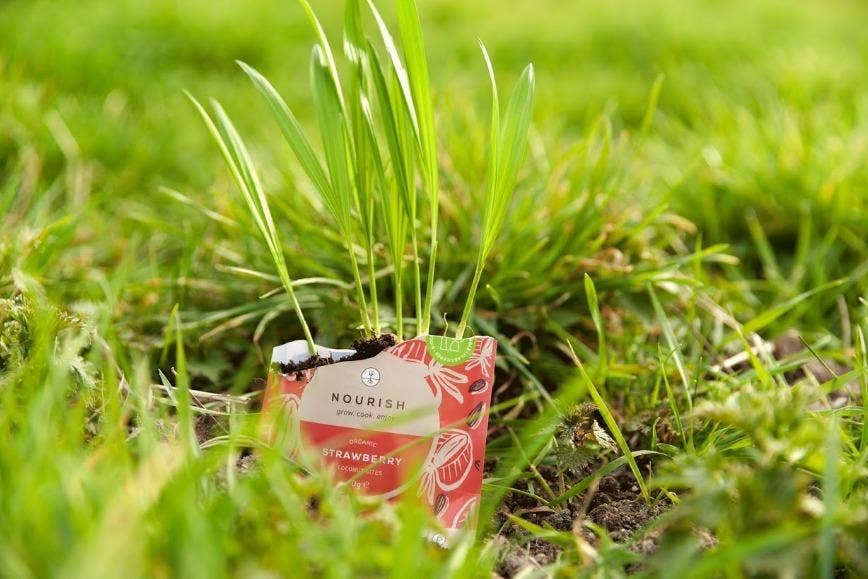 Nourish – wholesale Snack bar – Organic Strawberry Coconut Bites (40g x 10) BITE0022