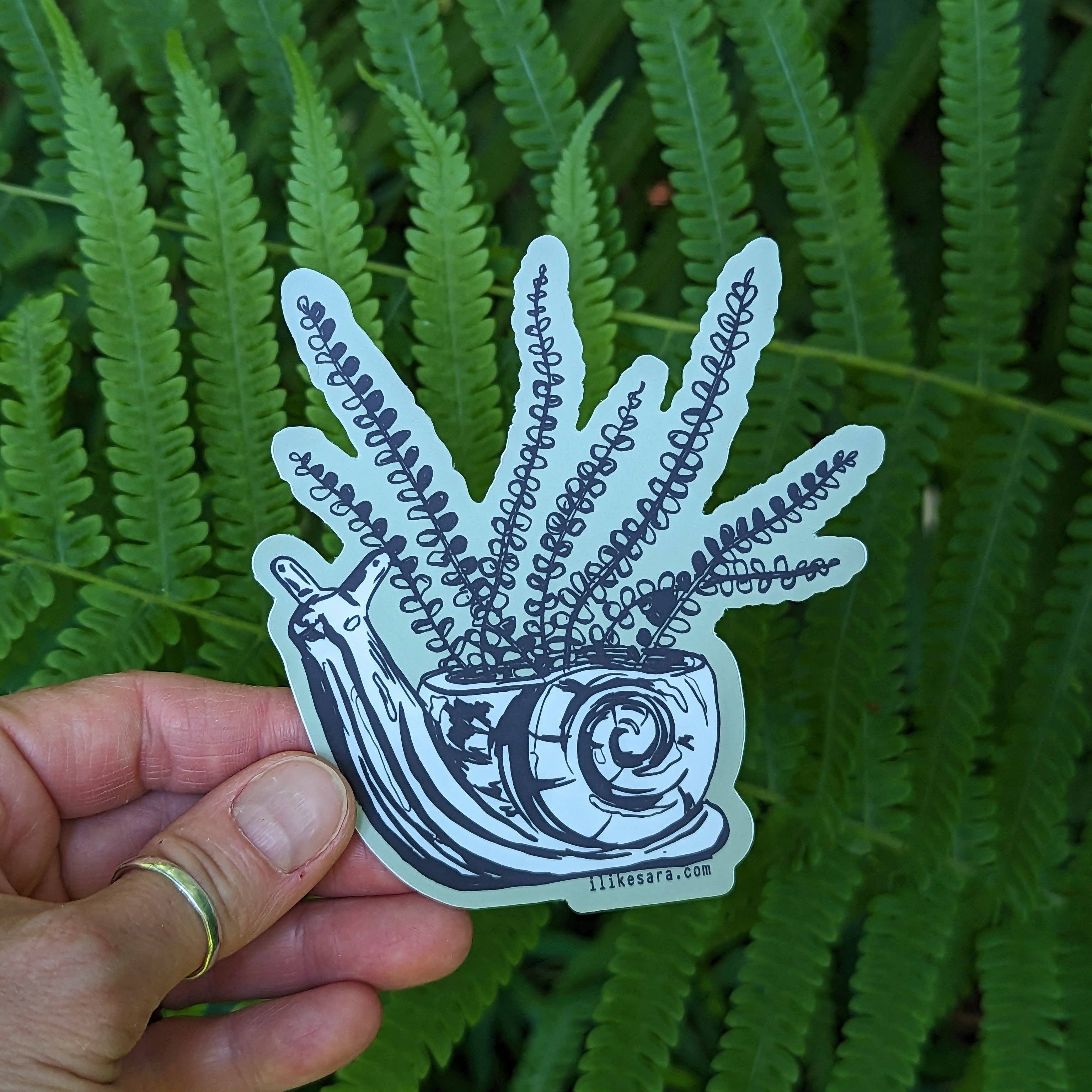 ilikesara | art + goods - Wholesale Sticker - sticker | fern in snail planter3