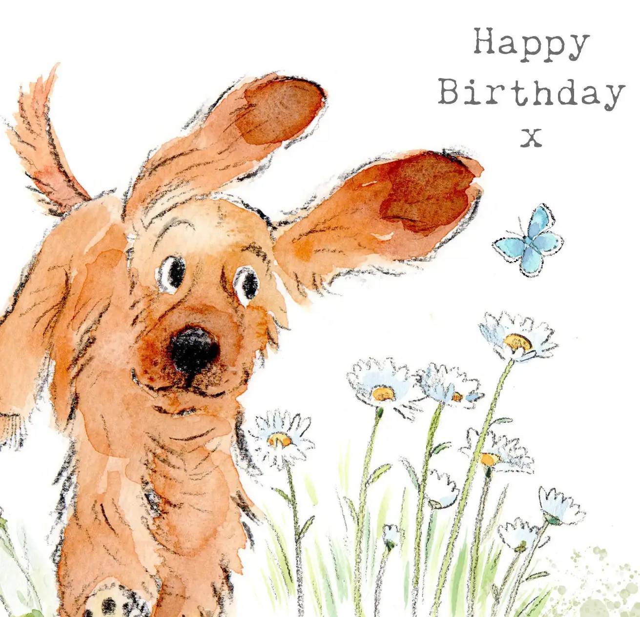 Paper Shed Design Ltd - Wholesale Birthday Card - Cute Dog Birthday Card - Jumping Cocker Spaniel With Daisies3