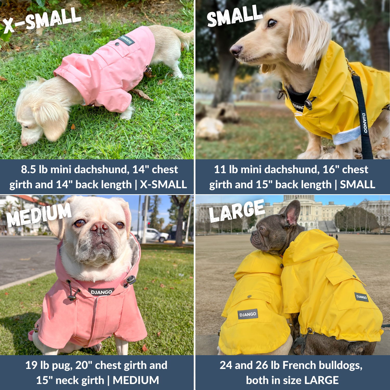 DJANGO - Wholesale Pet Raincoat - Dog - Highland Dog Jacket and Raincoat - Dandelion Yellow2