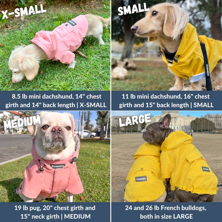 DJANGO - Wholesale Pet Raincoat - Dog - Highland Dog Jacket and Raincoat - Dandelion Yellow2