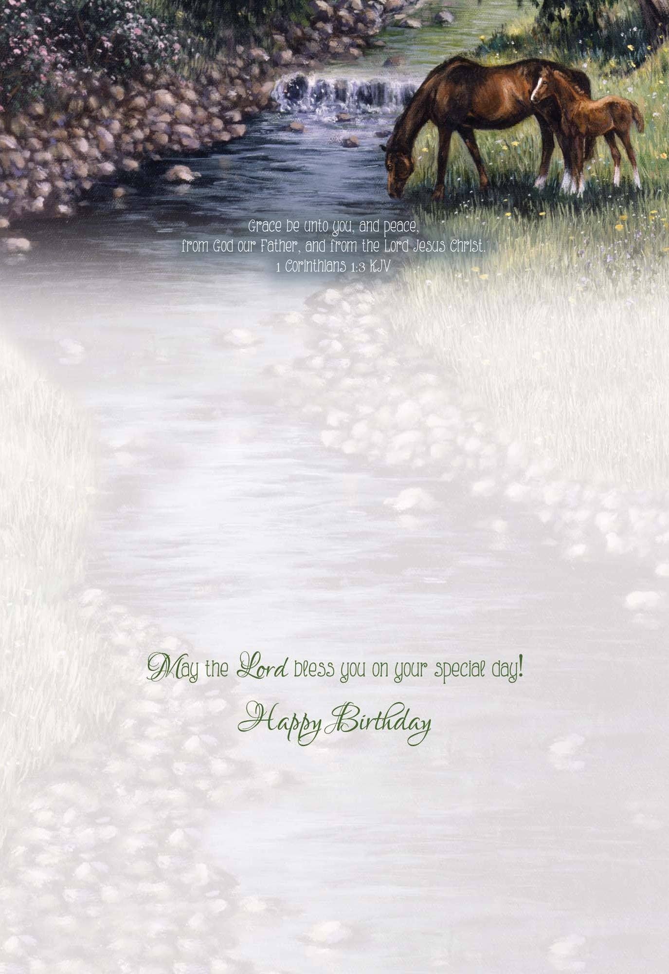 Crown Point Graphics - Wholesale Birthday Card - Celebrations -  48 Assorted Birthday Cards by Shared Blessings41