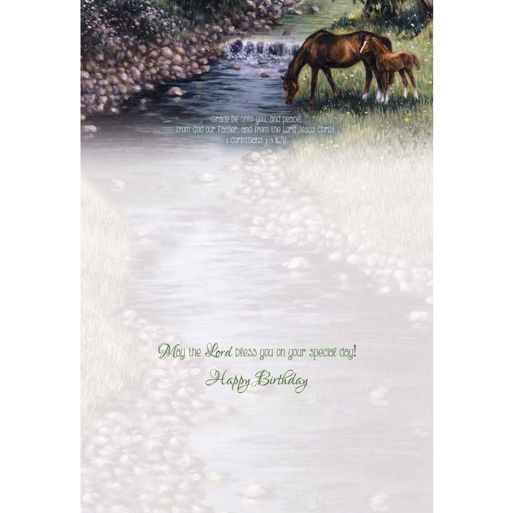 Crown Point Graphics - Wholesale Birthday Card - Celebrations - 48 Assorted Birthday Cards by Shared Blessings41