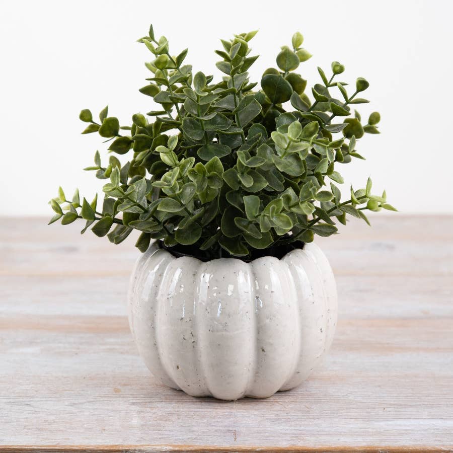 Gainsborough Giftware x Portland Living - Vendita all'ingrosso Vasi per piante - Vaso a forma di zucca in ceramica, 14 cm2