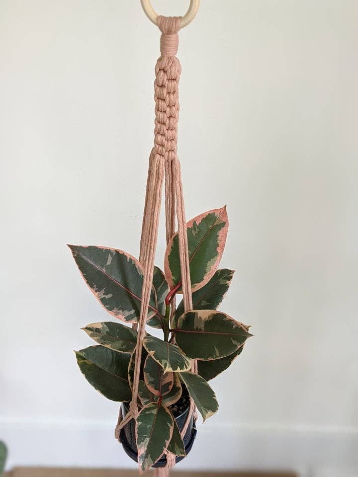 Leaf and Cord - Wholesale Hanging Planter - Macrame Plant Hanger - The Juniper4