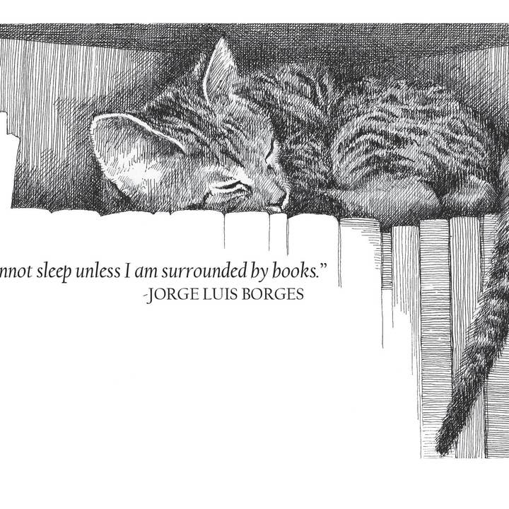 Karen Ritz Cards - Wholesale Everyday Greeting Card - Books & Beasts Cat Book Fun Notecard