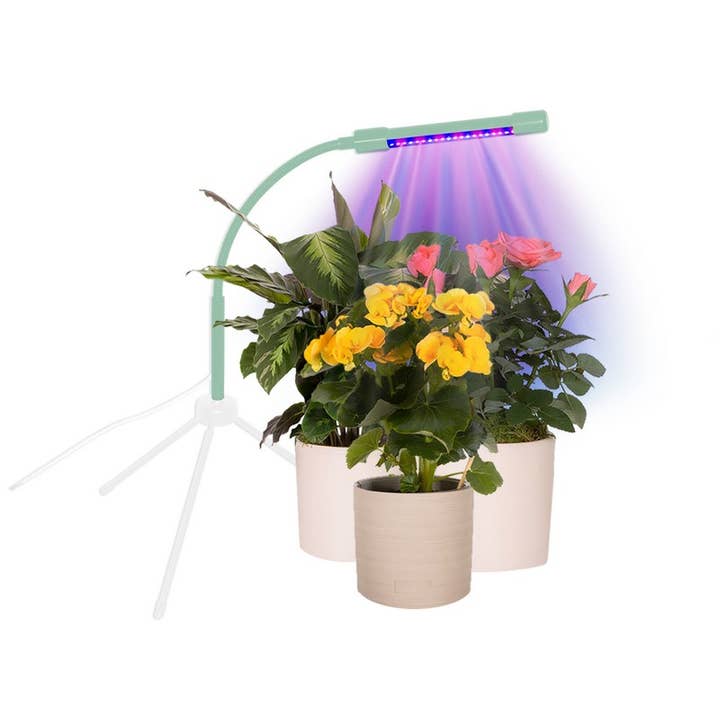 Boxer Gifts – wholesale Garden tool – Plant Booster Grow Light - Houseplant Gift3
