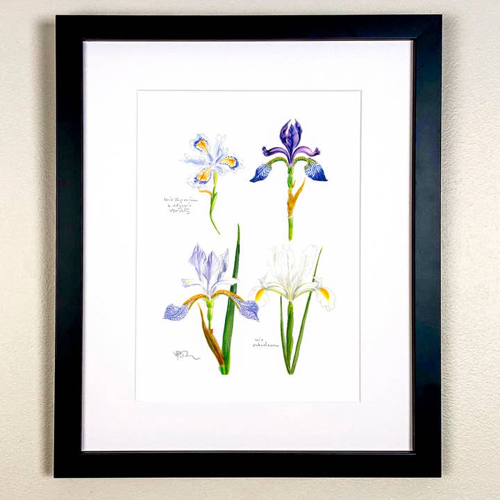 Four Miniature Iris Print for wholesale by Wildlife By Mouse