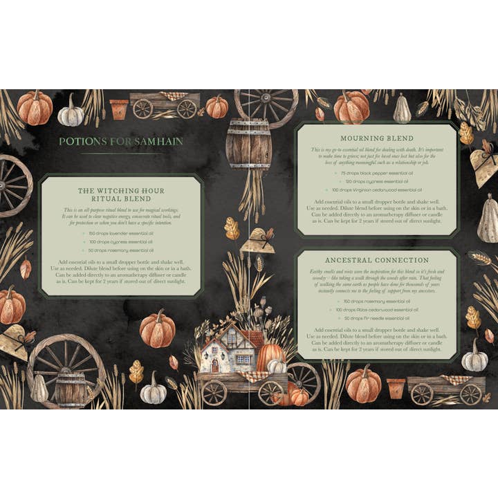 ROCKPOOL PUBLISHING - Wholesale Book - Adult - The Witch's Apothecary