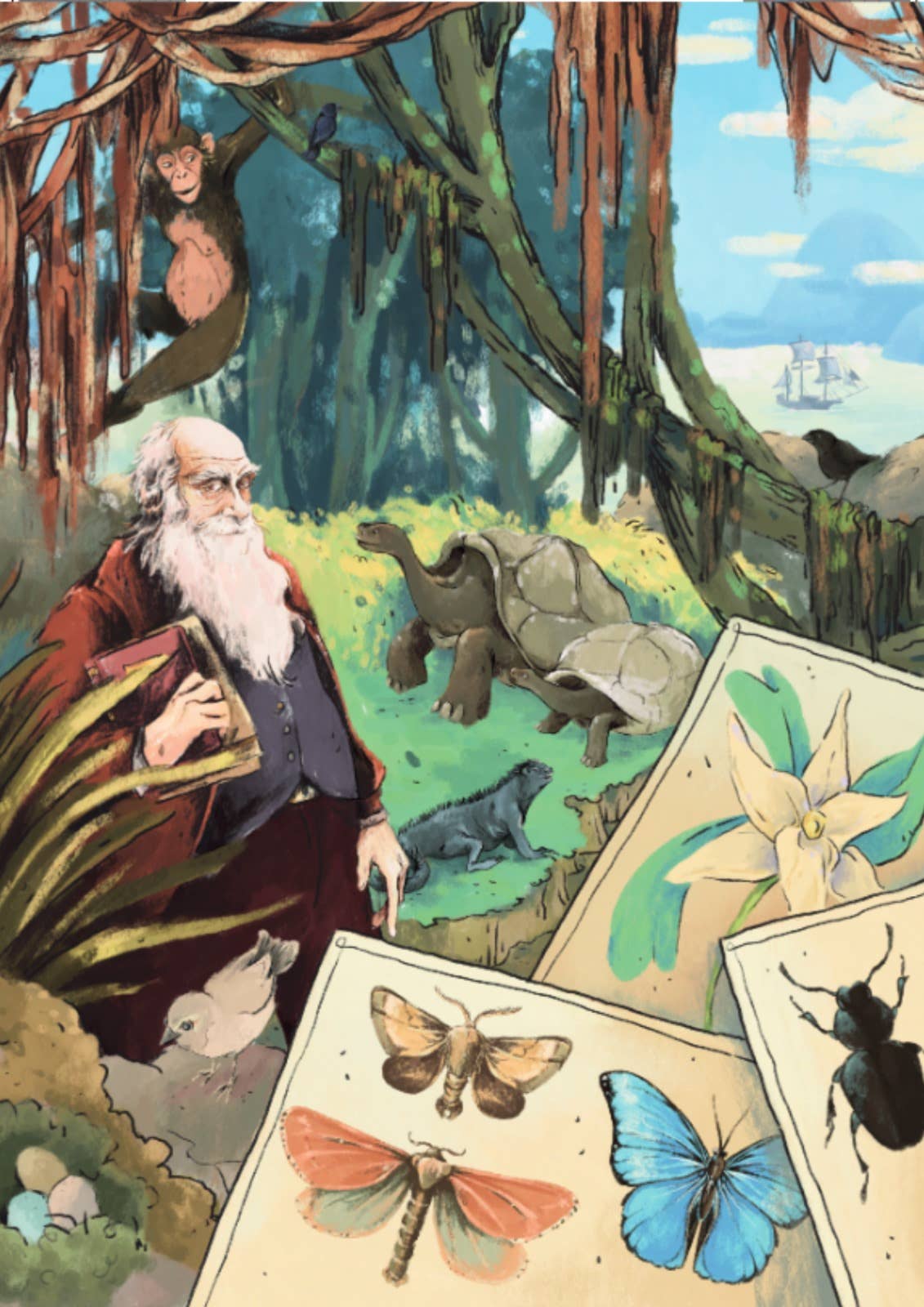 MIRALUDO - Wholesale Puzzle - Adult - Puzzle 1000 pieces - The Gallery of Legends - Book Format11