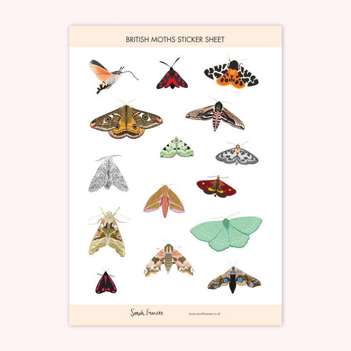 Sarah Frances - Wholesale Sticker - British Moths Stickers