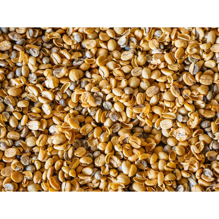 Vail Mountain Coffee & Tea Co. - Wholesale Coffee Beans - Decaf. Colombian Supremo S.W.